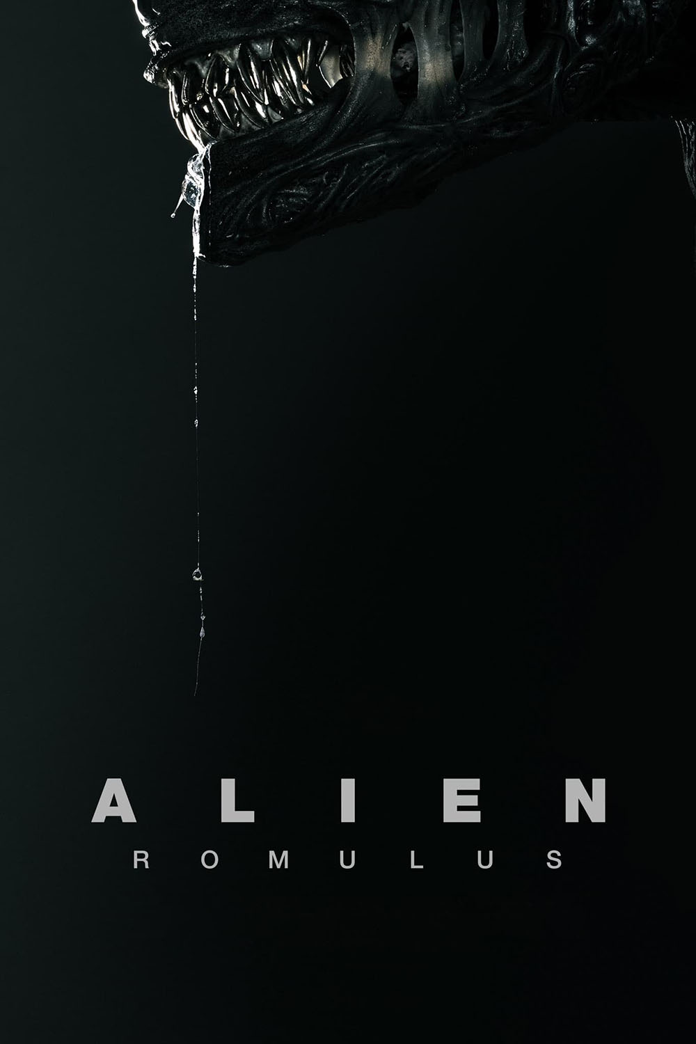 Movie 3